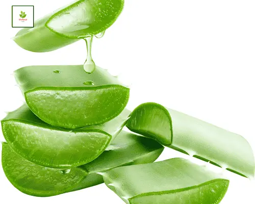 Ayurvedic treatment for hair fall